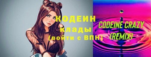 хмурый Елизово