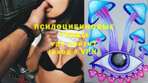первитин Ельня