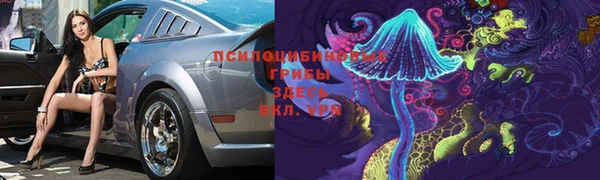 первитин Ельня