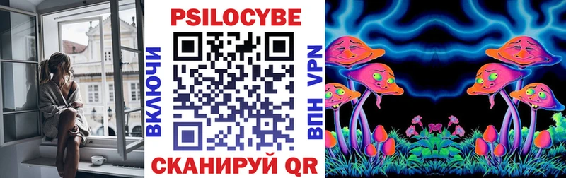 Псилоцибиновые грибы Psilocybe Купить где Комсомольск-на-Амуре